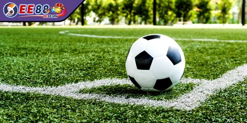Hướng Dẫn Kèo Chấp 0.25, 0.5, 1 Trái – Giải Mã Chi Tiết Nhất - huong dan keo chap 0 25 0 5 1 trai huong dan Hướng dẫn kèo chấp 0.25, 0.5, 1 trái
